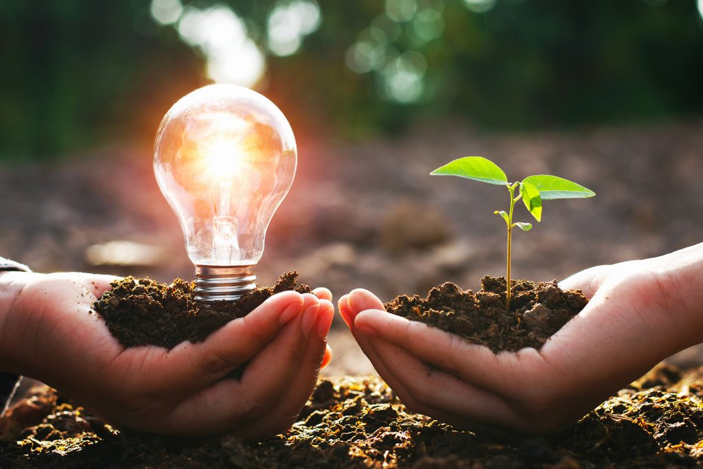 Nachhaltigkeit in der Reinigung – Hände halten Erde mit junger Pflanze und Glühbirne als Symbol für umweltfreundliche Energie und ökologische Materialien